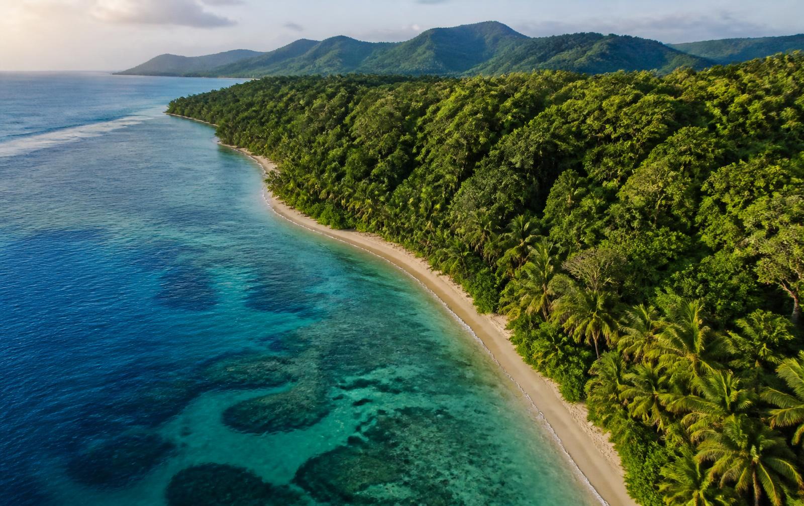 Tropical North Queensland coastline where rainforest meets reef water